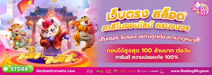 slotdog88 ปก