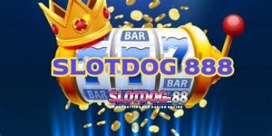 slotdog88 casino